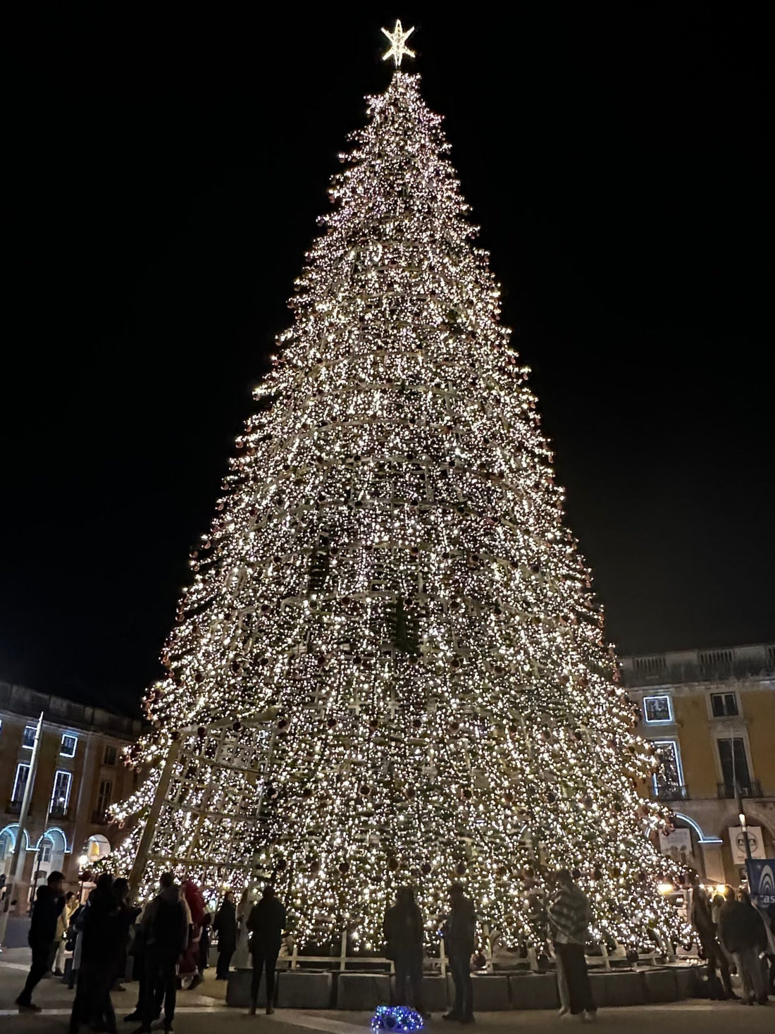 Christmas tree lit up in Lisbon, Portugal at night