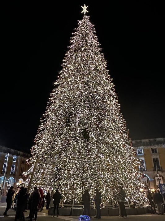 Christmas tree lit up in Lisbon, Portugal at night